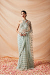 RUMI PEARL & SEQUINS WORK SAREE